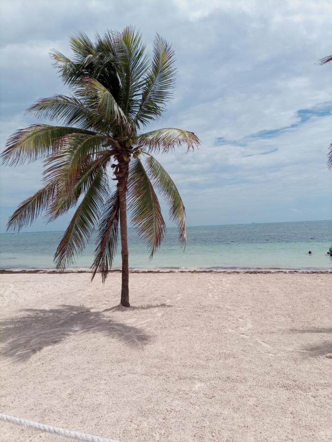 Corazon Del Pescador Daire Cancún Dış mekan fotoğraf