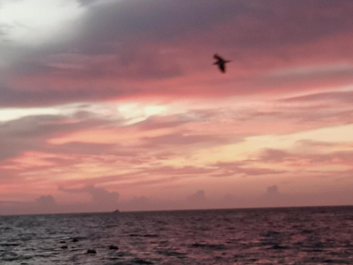 Corazon Del Pescador Daire Cancún Dış mekan fotoğraf