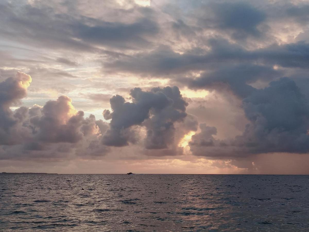 Corazon Del Pescador Daire Cancún Dış mekan fotoğraf