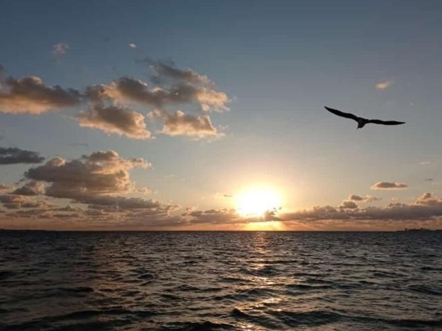 Corazon Del Pescador Daire Cancún Dış mekan fotoğraf